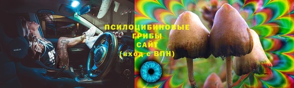 ГАЛЛЮЦИНОГЕННЫЕ ГРИБЫ Горнозаводск