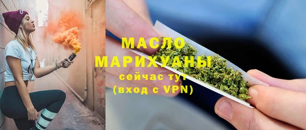 дживик Надым