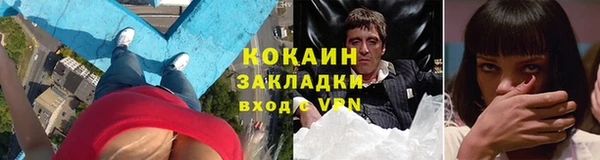 дживик Надым
