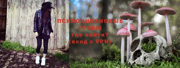 дживик Надым
