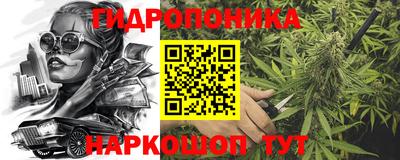 прущие грибы Гусь-Хрустальный