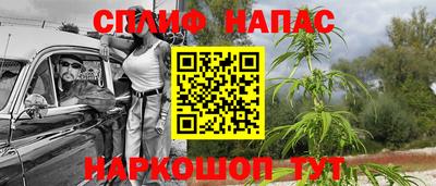 прущие грибы Гусь-Хрустальный
