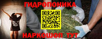 бошки Гусев